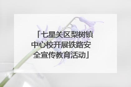 七星关区梨树镇中心校开展铁路安全宣传教育活动