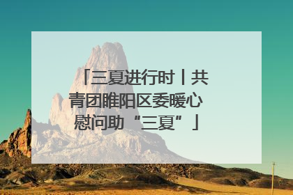 三夏进行时丨共青团睢阳区委暖心慰问助“三夏”