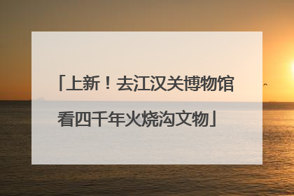 上新！去江汉关博物馆看四千年火烧沟文物