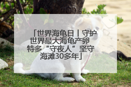 世界海龟日丨守护世界最大海龟产卵 特多“守夜人”坚守海滩30多年