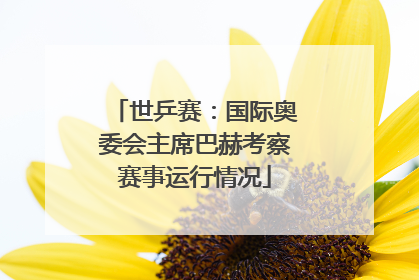 世乒赛：国际奥委会主席巴赫考察赛事运行情况