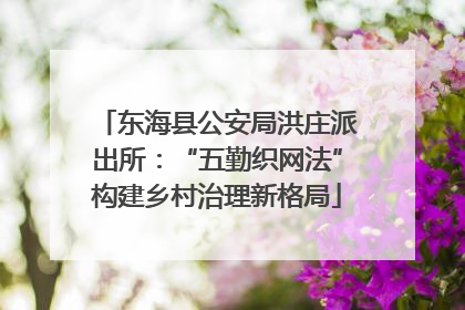 东海县公安局洪庄派出所：“五勤织网法”构建乡村治理新格局