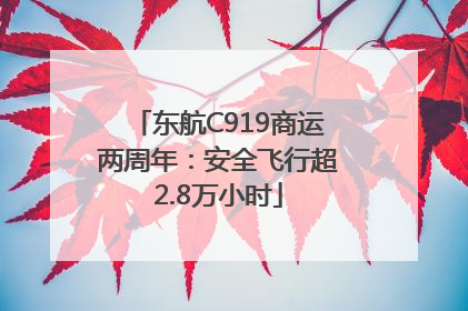 东航C919商运两周年：安全飞行超2.8万小时