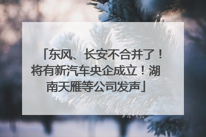 东风、长安不合并了！将有新汽车央企成立！湖南天雁等公司发声