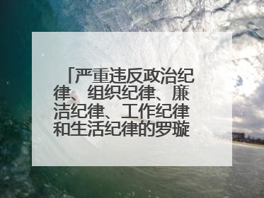 严重违反政治纪律、组织纪律、廉洁纪律、工作纪律和生活纪律的罗璇，非法收受他人巨额财物