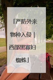 严防外来物种入侵｜西部黑寡妇蜘蛛