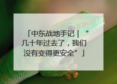 中东战地手记｜“几十年过去了，我们没有变得更安全”