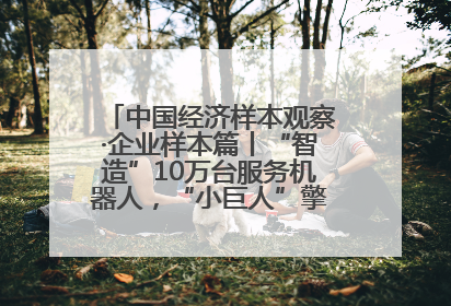 中国经济样本观察·企业样本篇丨“智造”10万台服务机器人，“小巨人”擎朗有大梦想
