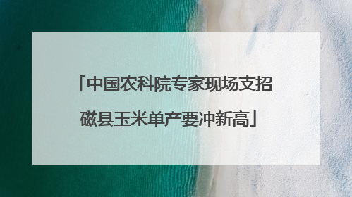 中国农科院专家现场支招 磁县玉米单产要冲新高