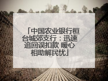 中国农业银行桓台城郊支行：迅速追回误扣款 暖心相助解民忧