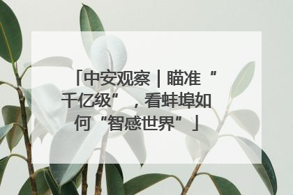 中安观察｜瞄准“千亿级”，看蚌埠如何“智感世界”