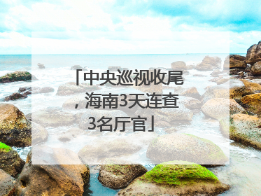 中央巡视收尾，海南3天连查3名厅官