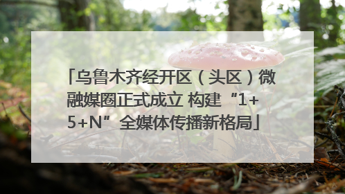 乌鲁木齐经开区（头区）微融媒圈正式成立 构建“1+5+N”全媒体传播新格局