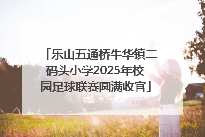 乐山五通桥牛华镇二码头小学2025年校园足球联赛圆满收官