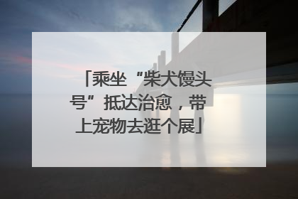 乘坐“柴犬馒头号”抵达治愈，带上宠物去逛个展
