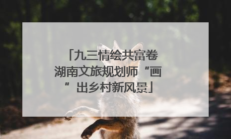 九三情绘共富卷 湖南文旅规划师“画”出乡村新风景