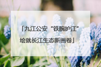 九江公安“铁腕护江”绘就长江生态新画卷