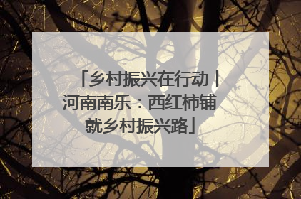 乡村振兴在行动丨河南南乐：西红柿铺就乡村振兴路