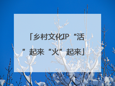 乡村文化IP“活”起来“火”起来