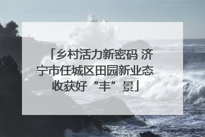 乡村活力新密码 济宁市任城区田园新业态收获好“丰”景