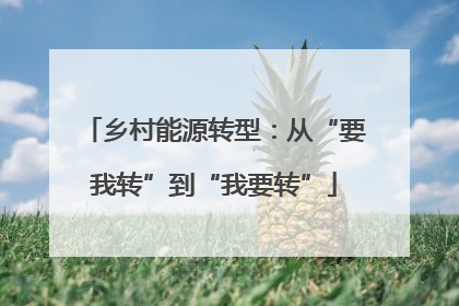 乡村能源转型：从“要我转”到“我要转”