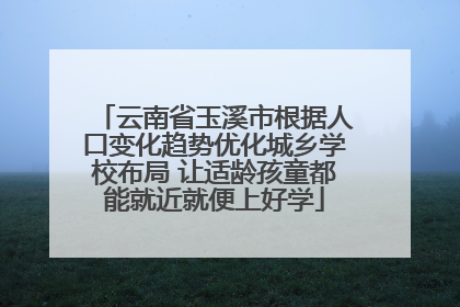 云南省玉溪市根据人口变化趋势优化城乡学校布局 让适龄孩童都能就近就便上好学