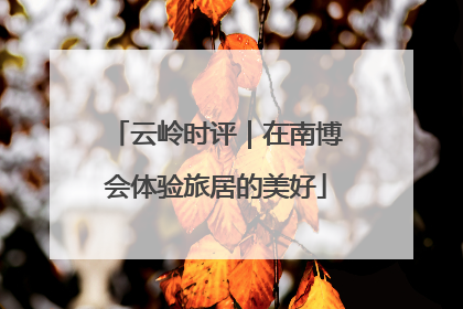 云岭时评｜在南博会体验旅居的美好