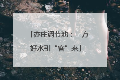 亦庄调节池：一方好水引“客”来