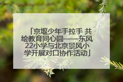 京堰少年手拉手 共绘教育同心圆——东风22小学与北京景风小学开展对口协作活动