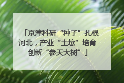 京津科研“种子”扎根河北，产业“土壤”培育创新“参天大树”
