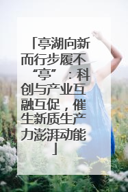 亭湖向新而行步履不“亭”：科创与产业互融互促，催生新质生产力澎湃动能
