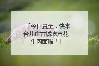 今日夏至，快来台儿庄古城吃黄花牛肉面啦！