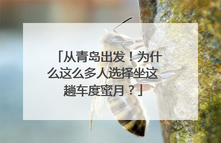 从青岛出发！为什么这么多人选择坐这趟车度蜜月？