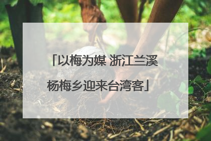 以梅为媒 浙江兰溪杨梅乡迎来台湾客