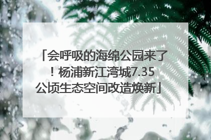 会呼吸的海绵公园来了！杨浦新江湾城7.35公顷生态空间改造焕新