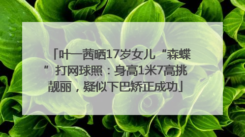 叶一茜晒17岁女儿“森蝶”打网球照：身高1米7高挑靓丽，疑似下巴矫正成功