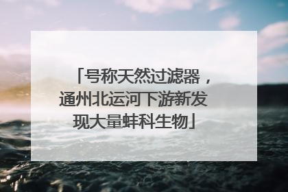 号称天然过滤器，通州北运河下游新发现大量蚌科生物