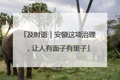 及时语｜安徽这项治理，让人有面子有里子