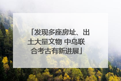 发现多座房址、出土大量文物 中乌联合考古有新进展