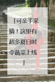 可亲手采摘！这里有超多夏日时令蔬菜上线