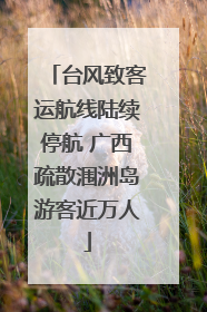 台风致客运航线陆续停航 广西疏散涠洲岛游客近万人