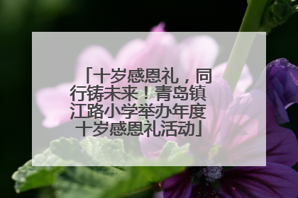 十岁感恩礼，同行铸未来！青岛镇江路小学举办年度十岁感恩礼活动