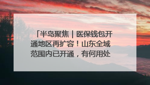 半岛聚焦｜医保钱包开通地区再扩容！山东全域范围内已开通，有何用处？如何操作？速戳→