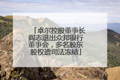 卓尔控股董事长阎志退出众邦银行董事会，多名股东股权遭司法冻结