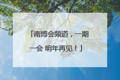 南博会频道，一期一会 明年再见！