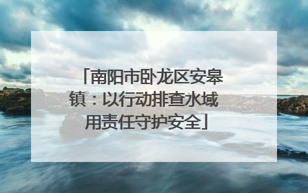 南阳市卧龙区安皋镇：以行动排查水域 用责任守护安全