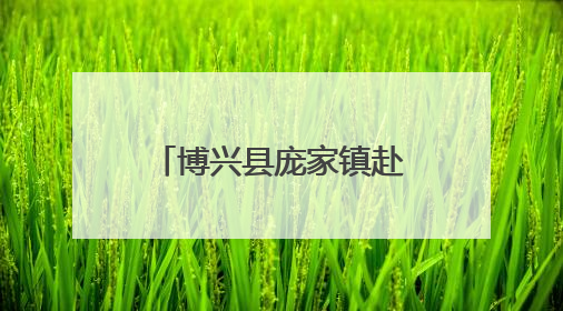博兴县庞家镇赴省鲁北监狱开展廉政警示教育活动