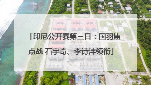 印尼公开赛第三日：国羽焦点战 石宇奇、李诗沣领衔