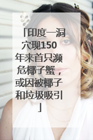 印度一洞穴现150年来首只濒危椰子蟹，或因被椰子和垃圾吸引