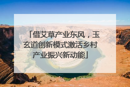 借艾草产业东风，玉玄道创新模式激活乡村产业振兴新动能